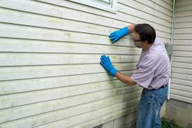 Best Vinyl Siding Installation  in South Run, VA